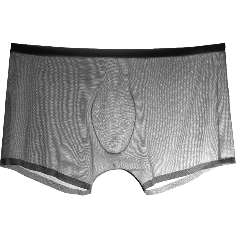 Trunk Breathable Men - Männliche Boxershorts für Herren, transparente Unterwäsche