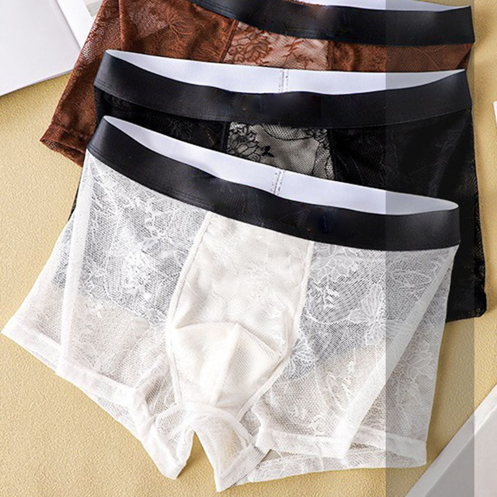 Pouch Boxer Pouch - Herren Eisseide Mesh Spitze Boxershorts mit