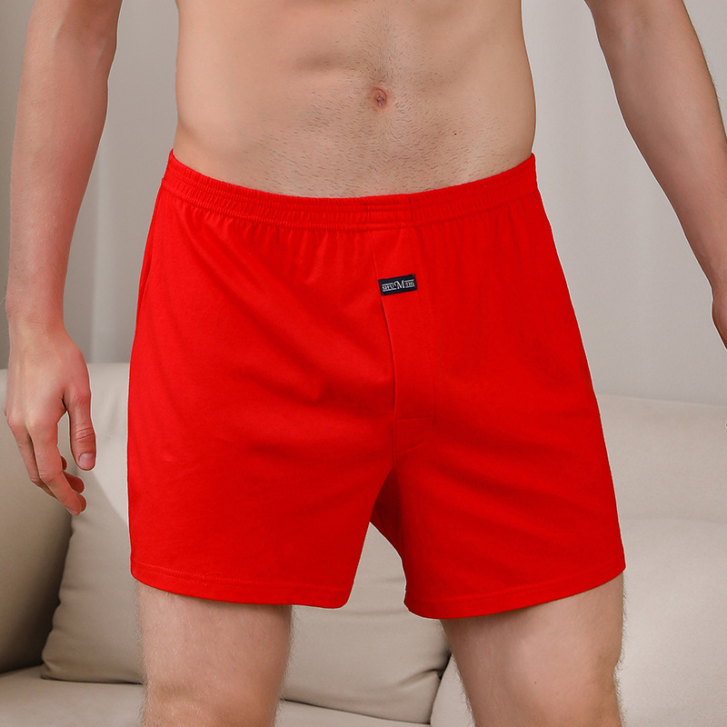 1PCS männer Unterwäsche Aro Ho – Boxer Brief Pack Cotton Bewertung und Preis