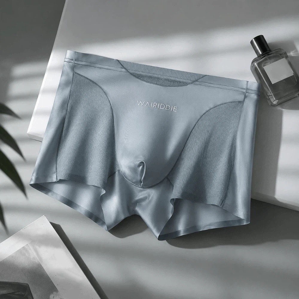 Einfache Mesh-Eisseide-Unterwä – Mesh Sport Boxer Bewertung und Preis